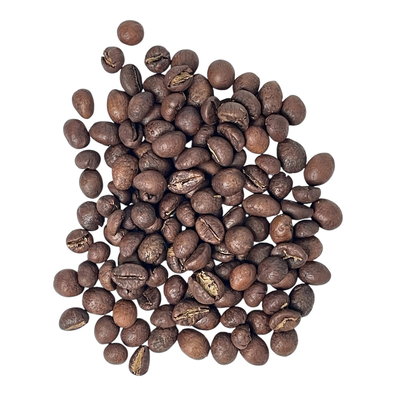 Bohnenbild Sorte Old Paradenia