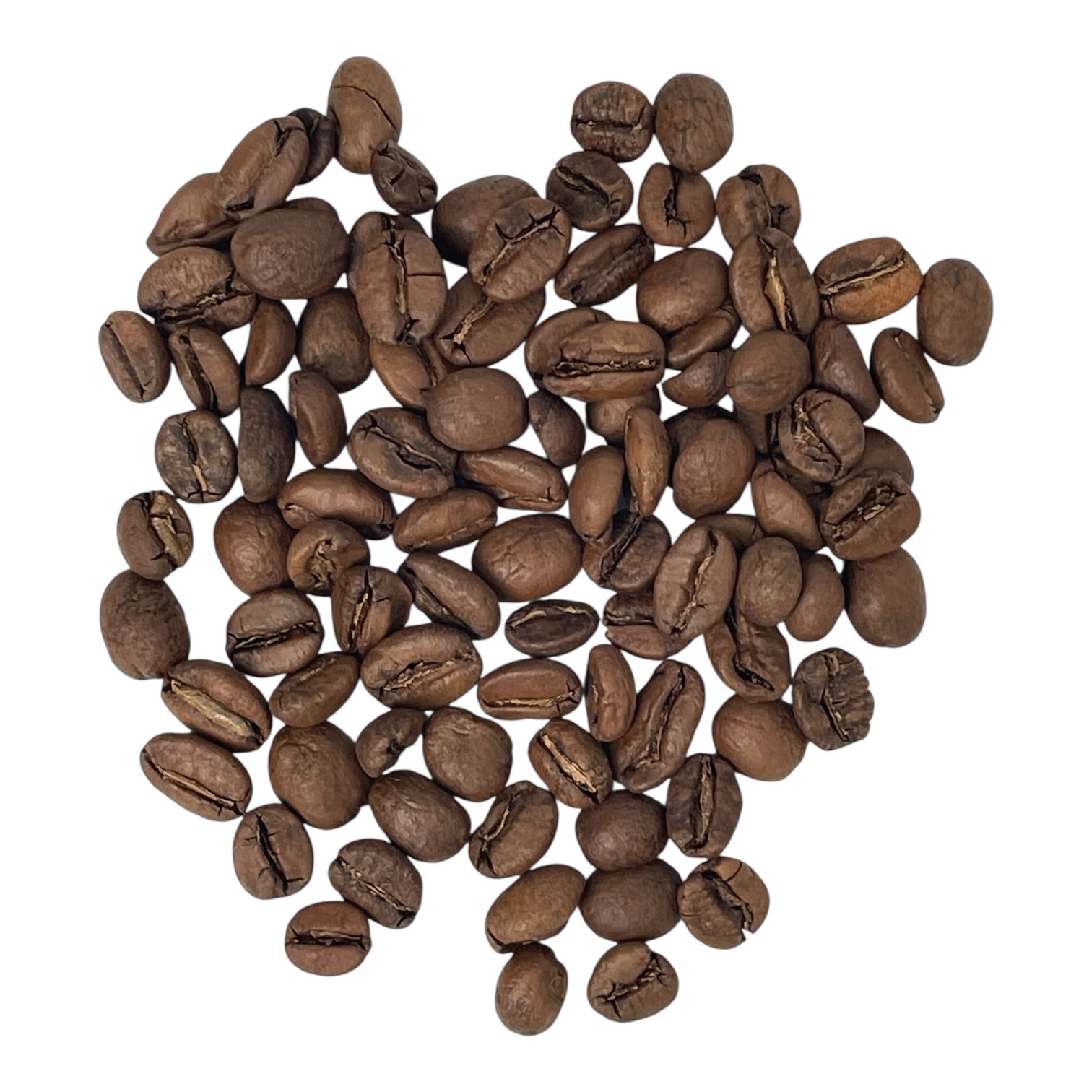 Bohnenbild Sorte Gerald